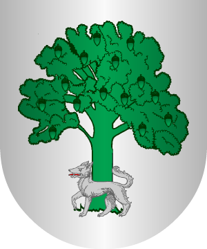 ESCUDO ALEATORIO